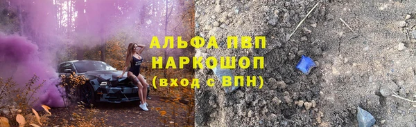 сатива Алзамай
