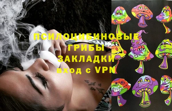 герыч Алексин