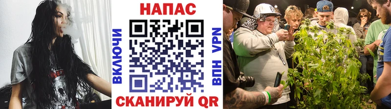 Шишки марихуана тримм  цены   Медынь 